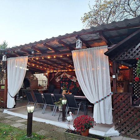 Pensiunea Rominvest Borşa Exterior foto