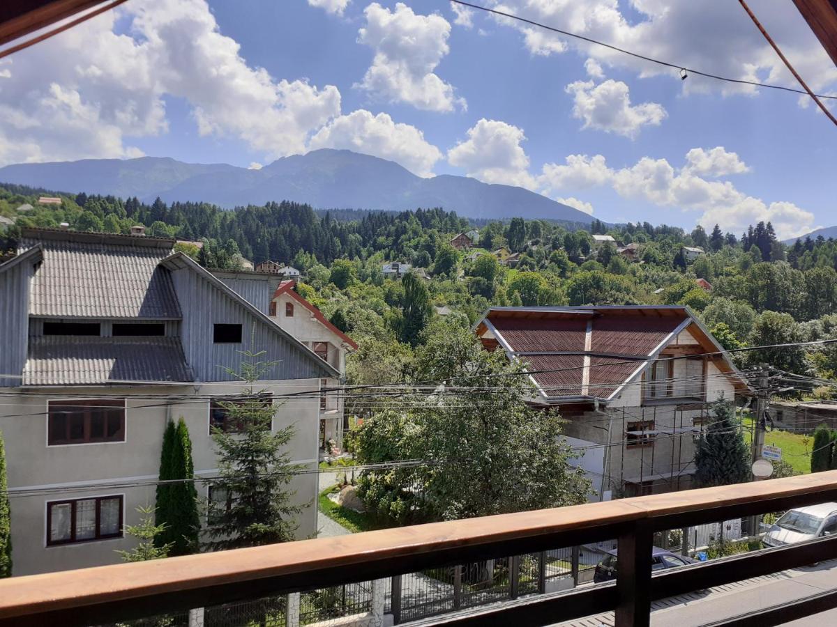 Pensiunea Rominvest Borşa Exterior foto