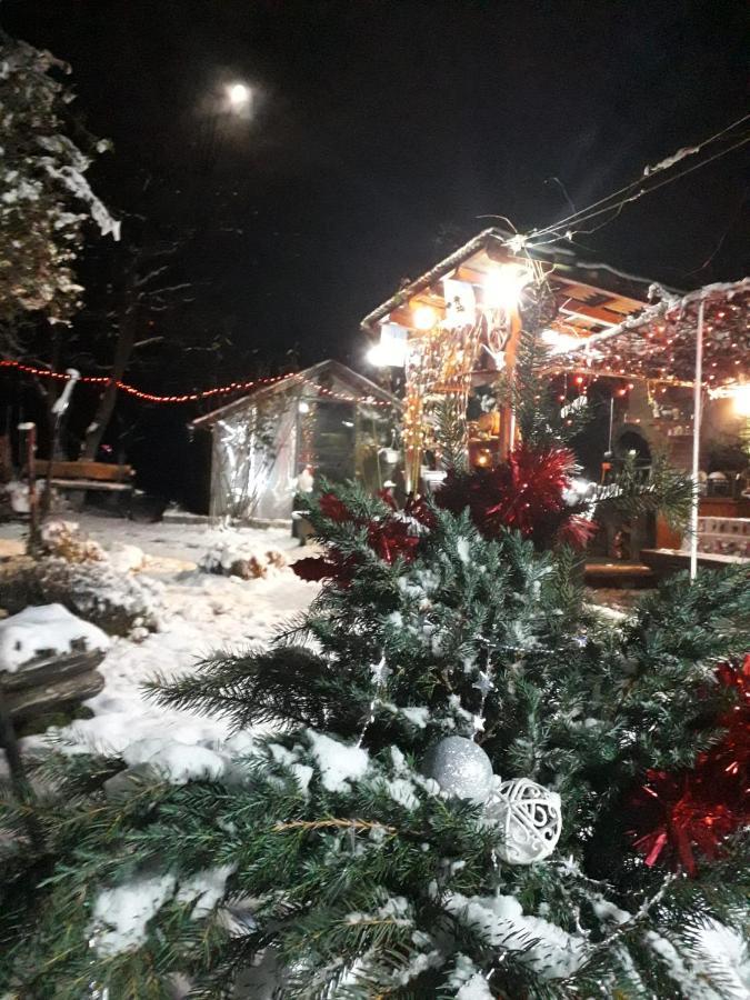 Pensiunea Rominvest Borşa Exterior foto