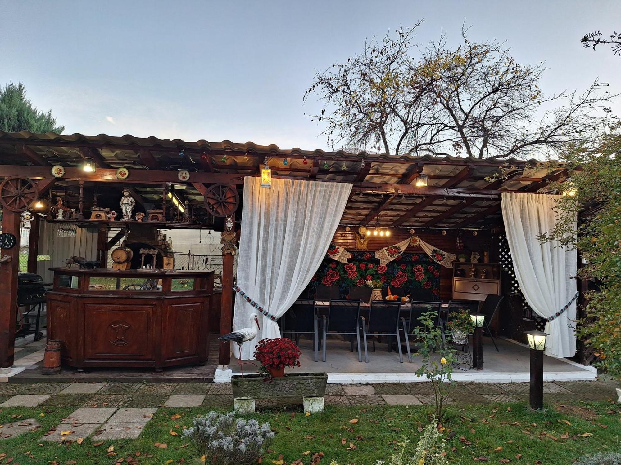 Pensiunea Rominvest Borşa Exterior foto