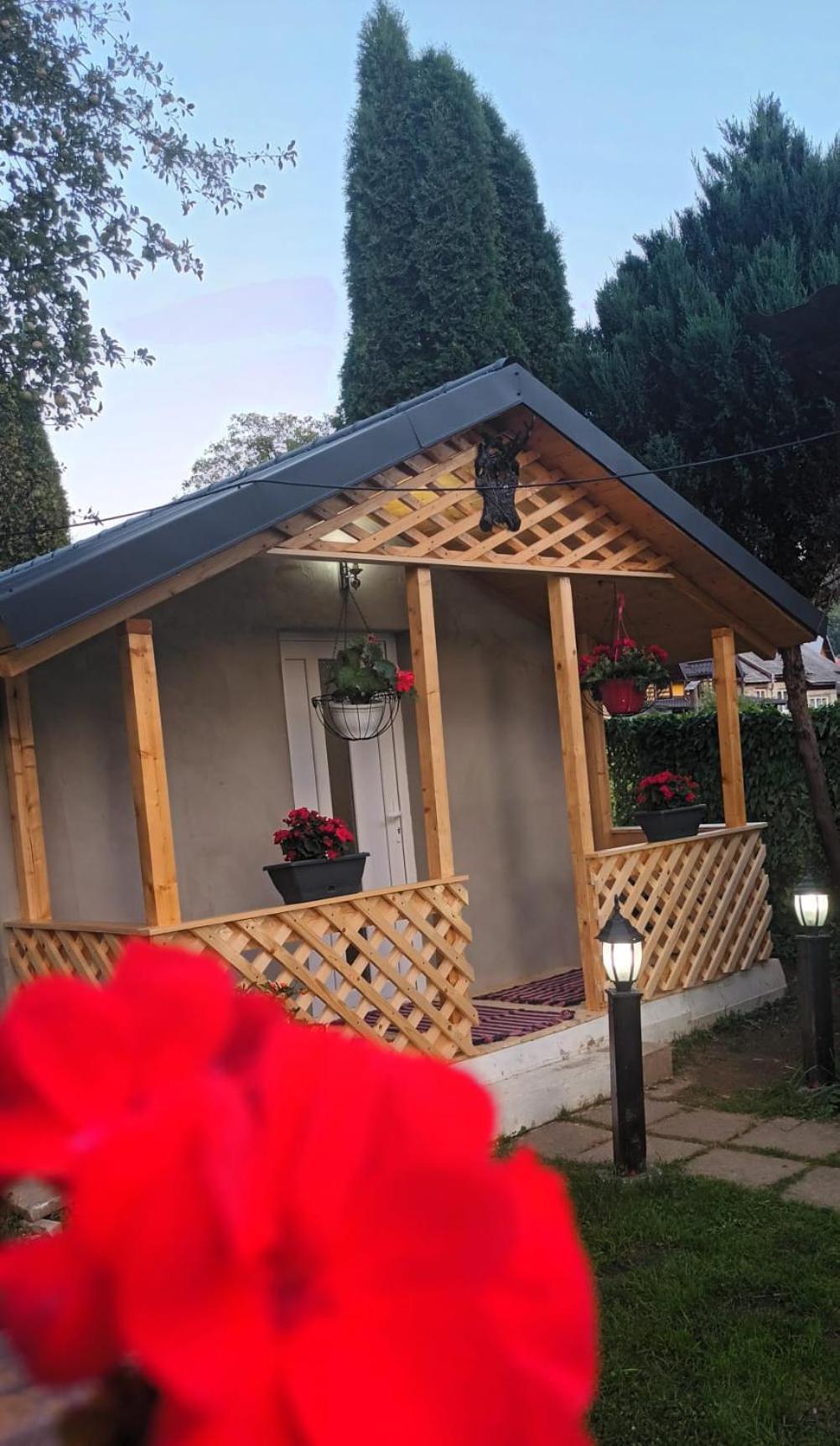 Pensiunea Rominvest Borşa Exterior foto
